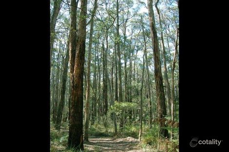 Property photo of 145 David Hill Road Monbulk VIC 3793