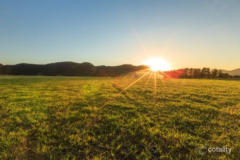 518 Milbrodale Rd, Fordwich, NSW 2330