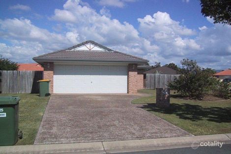 Property photo of 20 Blueash Crescent Oxenford QLD 4210