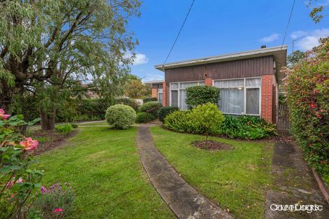 Property photo of 9 Frances Street Heathmont VIC 3135