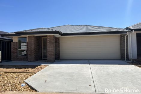 62 Hayfield Ave, Blakeview, SA 5114