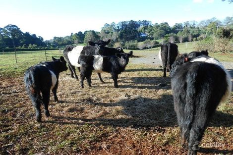 319-333 Long Rd, Tamborine Mountain, QLD 4272