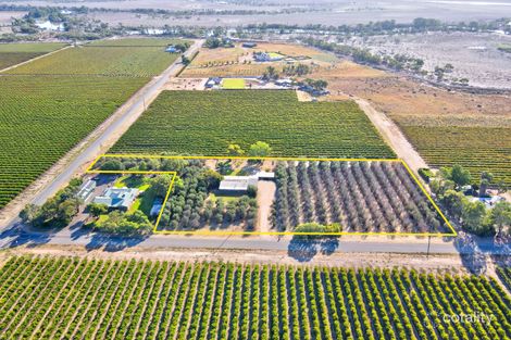 Property photo of 30 Sixth Street Renmark North SA 5341