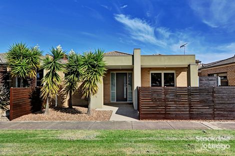 Property photo of 7 Toorak Terrace Shepparton VIC 3630