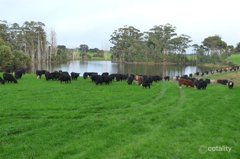 58 Spion Kop Rd, South Forest, TAS 7330