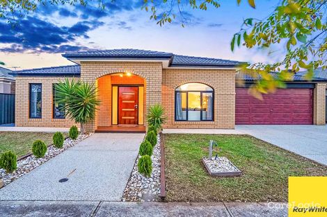 Property photo of 17 Kerlin Crescent Tarneit VIC 3029