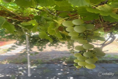 395 Grand Prom, Dianella, WA 6059