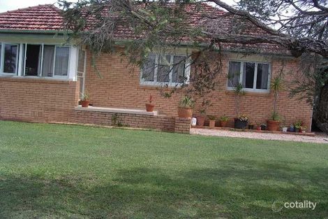 Property photo of 6 Benjamin Street Maroochydore QLD 4558