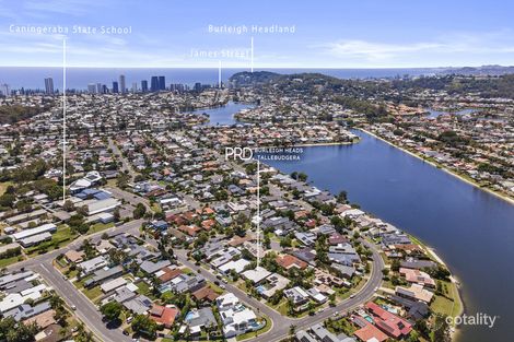 Property photo of 12 Cuckoo Crescent Burleigh Waters QLD 4220