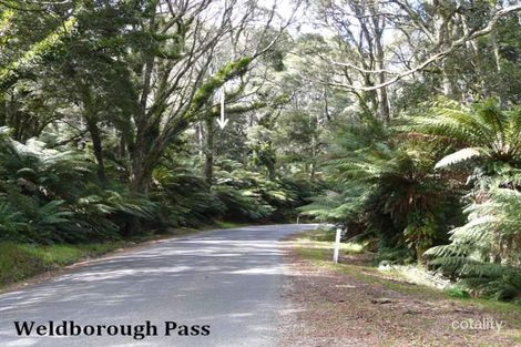 Property photo of LOT 4 Mount Paris Dam Road Weldborough TAS 7264