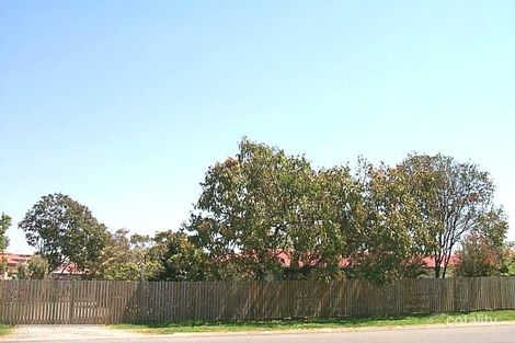 Property photo of 51 Kavanagh Road Wishart QLD 4122