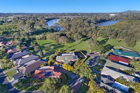 Property photo of 36 Lithfield Place Loganholme QLD 4129