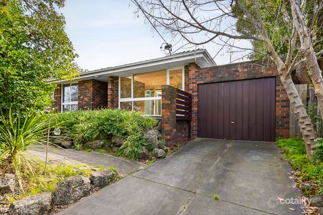 Property photo of 5/7 Maud Street Balwyn North VIC 3104