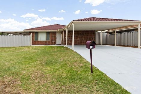 19 Ellamere Rtt, Maddington, WA 6109