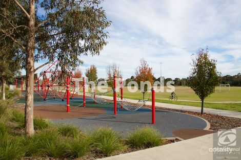 Property photo of 48 Petal Parkway The Ponds NSW 2769