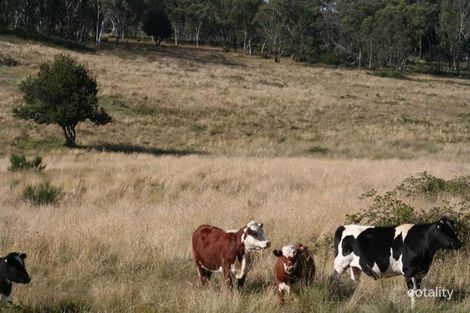 Range Rd, Meadow Flat, NSW 2795