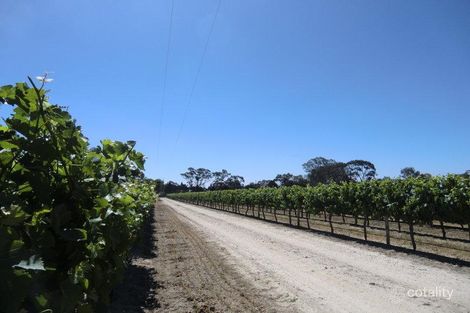 Property photo of 63 Menge Road Tanunda SA 5352