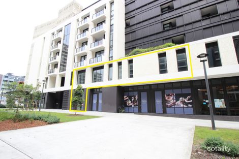 202/17 Lachlan St, Waterloo, NSW 2017