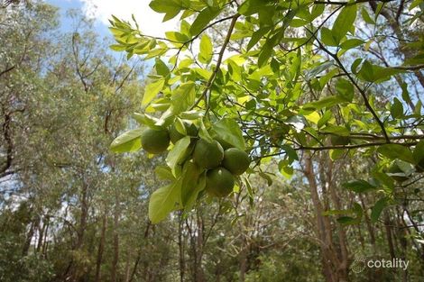 Property photo of 10 Tillapai Grove Karana Downs QLD 4306