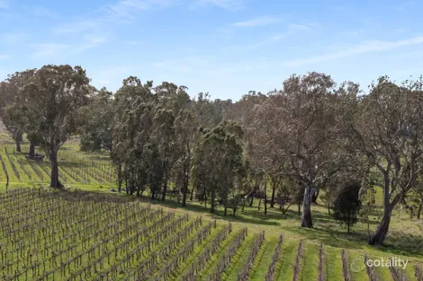 Property photo of 108 Dergholm Road Penola SA 5277