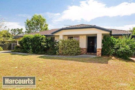 Property photo of 3 Chestnut Place The Gap QLD 4061