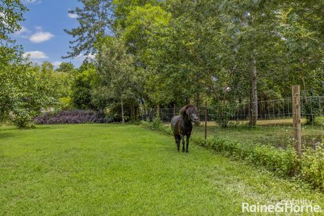 Property photo of 42 Upper Pinbarren Creek Road Pinbarren QLD 4568