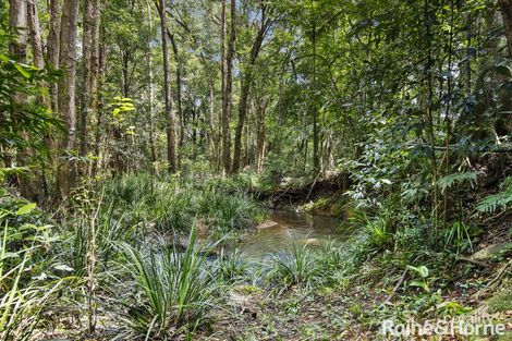 Property photo of 42 Upper Pinbarren Creek Road Pinbarren QLD 4568