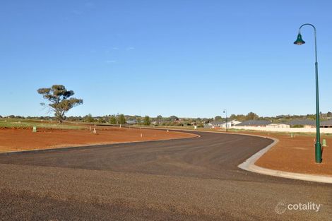 Property photo of 6 John Potts Drive Junee NSW 2663
