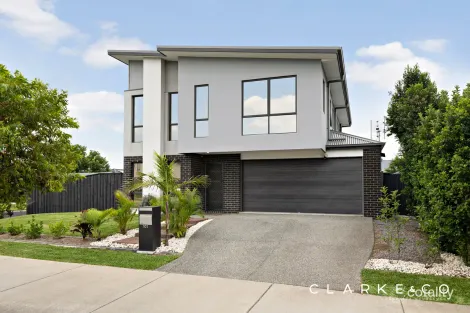 101 Dragonfly Dr, Chisholm, NSW 2322