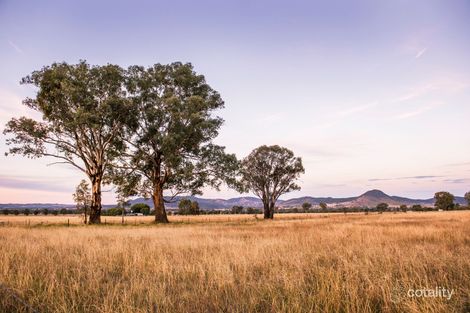 Property photo of 176 Broadhead Road Spring Flat NSW 2850