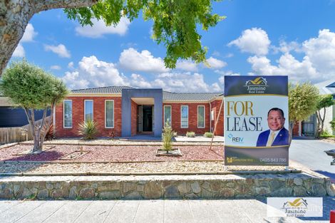 Property photo of 14 Hanrahan Wynd Lynbrook VIC 3975