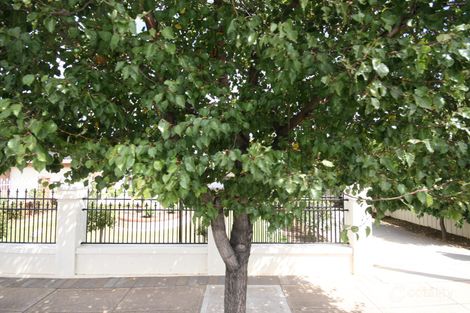 63 Rowells Rd, Lockleys, SA 5032