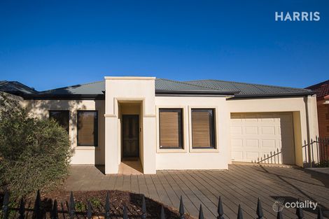 8b Napier St, Renown Park, SA 5008