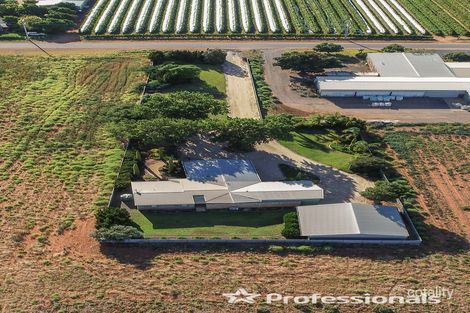 Property photo of 79 Melaleuca Street Buronga NSW 2739