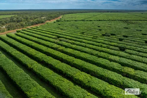 200 Connelly Rd, Lambells Lagoon, NT 0822