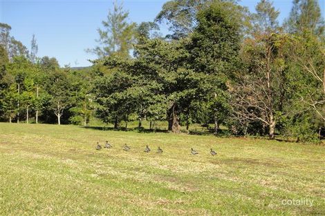 Property photo of 2 Overton Way Kin Kin QLD 4571