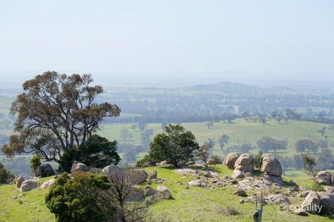 Property photo of 145 Barker Road Harcourt North VIC 3453