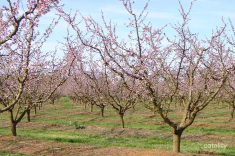 1400 Larissa Rd, Yarroweyah, VIC 3644