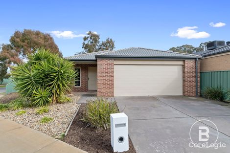 Property photo of 31 Caulfield Drive Ascot VIC 3551