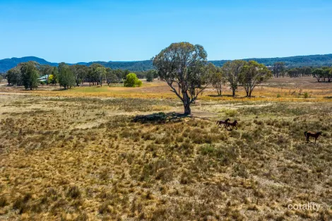 Property photo of 271 Pyangle Road Camboon NSW 2849