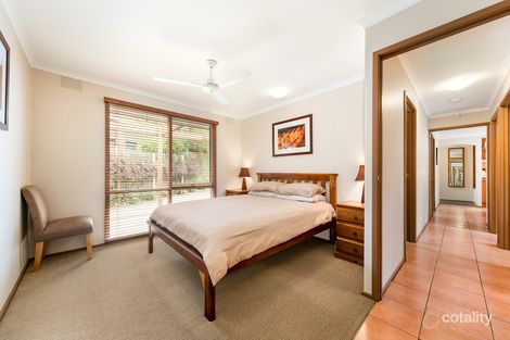 Property photo of 11 Almora Avenue Red Hill VIC 3937