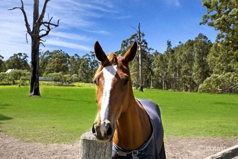 Property photo of 6A Forest Road Duns Creek NSW 2321