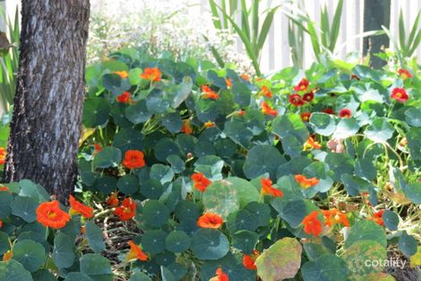 Property photo of 34 Eskdale Road Toogoolawah QLD 4313