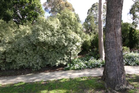 92 Gertonia Ave, Boronia, VIC 3155