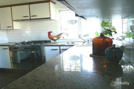 Property photo of 42 Heaslop Terrace Annerley QLD 4103