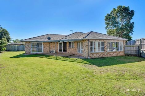 Property photo of 7 Alisma Court Ormeau QLD 4208