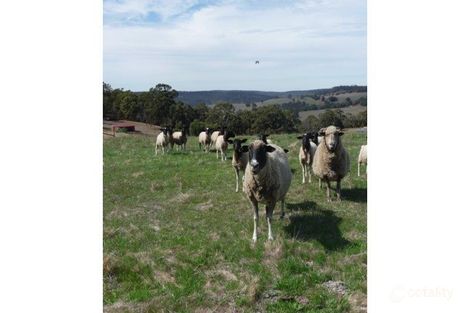 56 Alawoona Cir, Bullsbrook, WA 6084