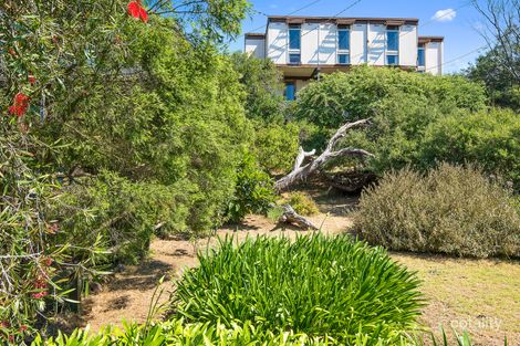 Property photo of 17 Fraser Street Queenscliff VIC 3225