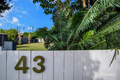 Property photo of 43 Zelma Street Grasstree Beach QLD 4740