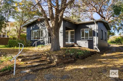 Property photo of 25 Netherby Avenue Netherby SA 5062
